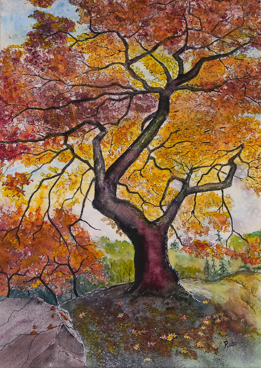 *Japanese Maple Majesty  (20 x 26 in. matted)