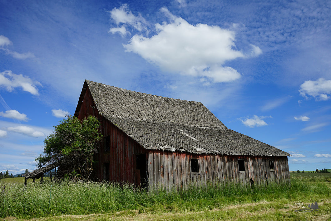 Photo: Palouse Barn