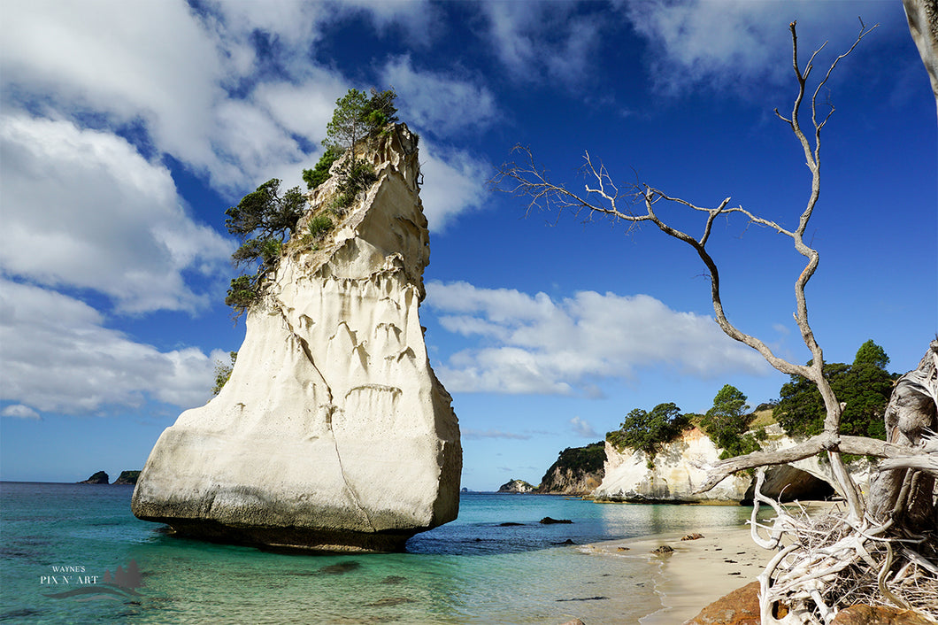 Photo NZ: Cathedral Cove