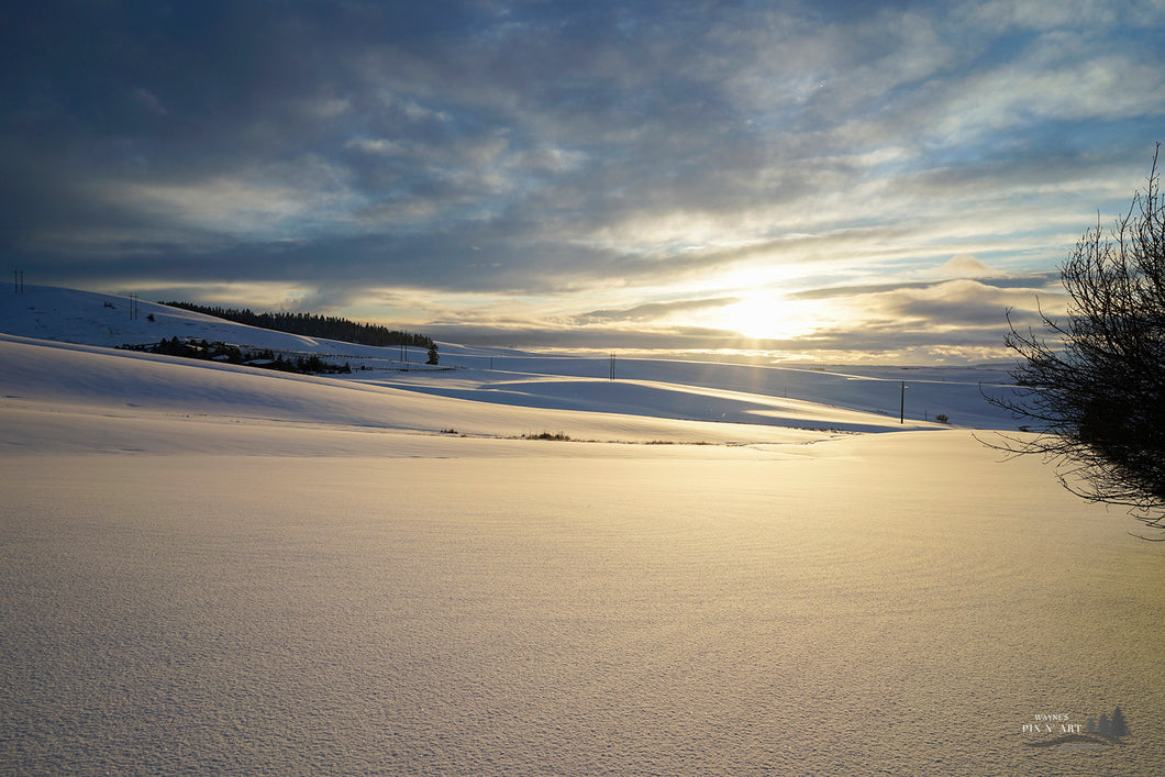 Photo: The Palouse in Winter