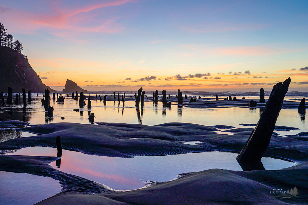Photo: Low Tide at Winter Sunset